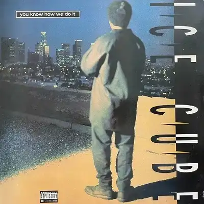 ICE CUBE / YOU KNOW HOW WE DO ITΥʥ쥳ɥ㥱å ()