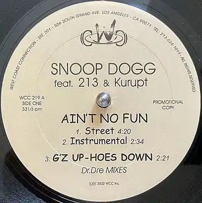 SNOOP DOGG / AIN'T NO FUN ／ BIG PIMPIN