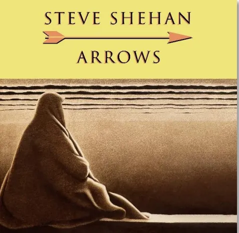 STEVE SHEHAN / ARROWSΥʥ쥳ɥ㥱å ()