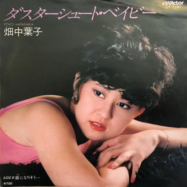 畑中葉子 / ダスターシュート・ベイビー