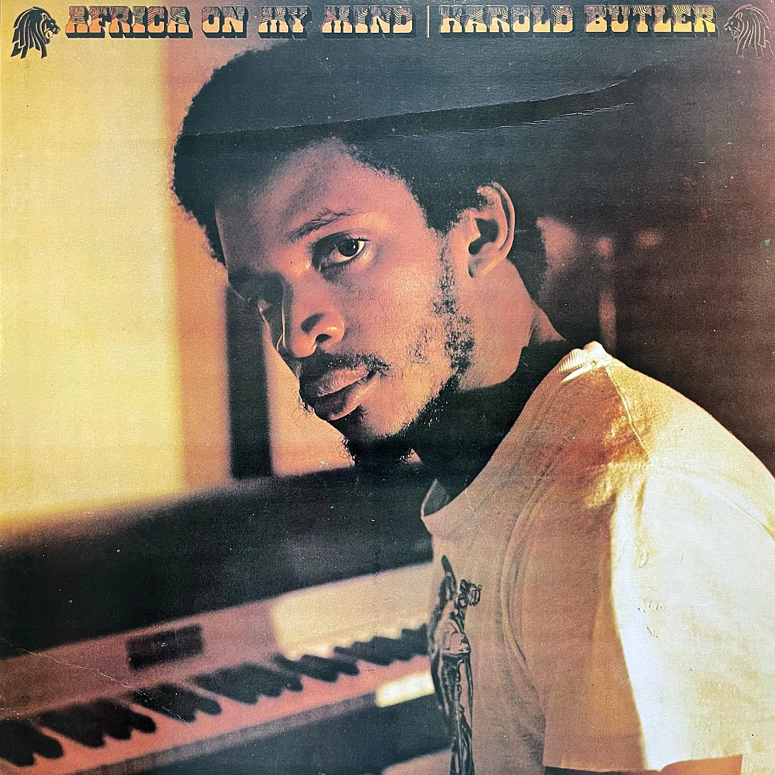 HAROLD BUTLER / AFRICA ON MY MIND