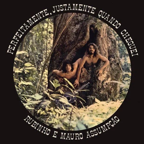 RUBINHO E MAURO ASSUMPCAO / PERFEITAMENTE, JUSTAMENTE QUANDO CHEGUEIのアナログレコードジャケット (準備中)