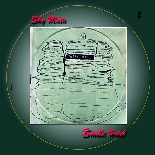 ڥ쥳ͽ SKY MATA / SMILE HOTEL