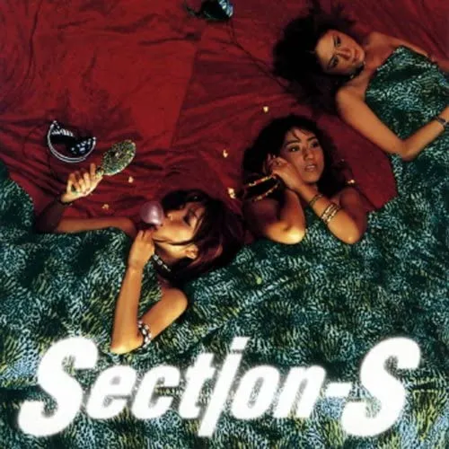 SECTION-S / WWW．