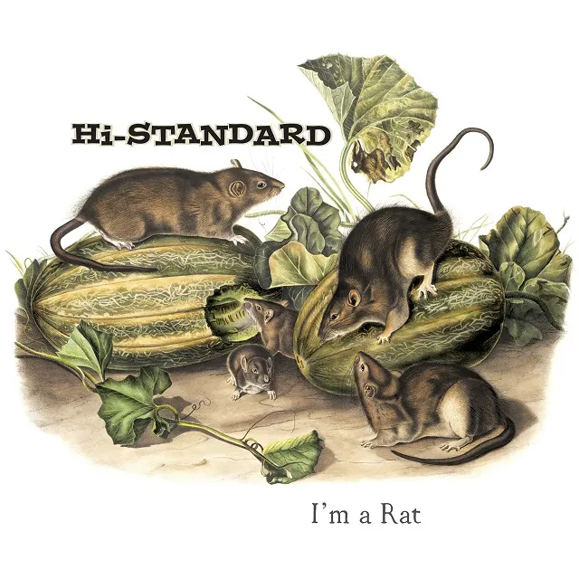 HI-STANDARD / I'M A RAT (PICTURE DISK) 