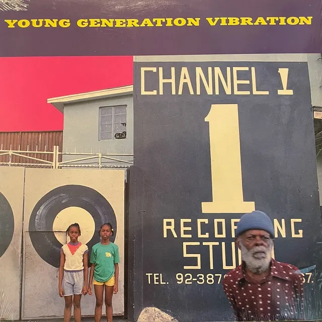 VARIOUS (FRANKIE PAUL) / YOUNG GENERATION VIBRATION