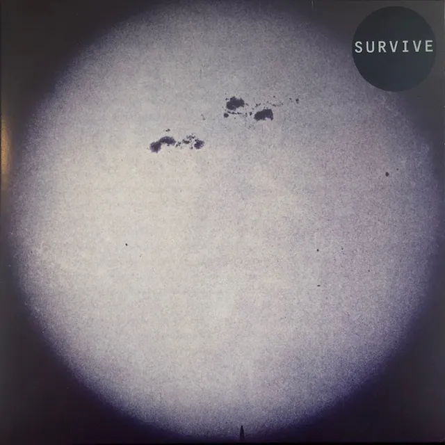 SURVIVE / SAMEΥʥ쥳ɥ㥱å ()