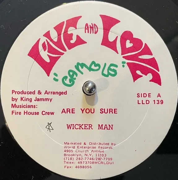WICKER MAN ／ LITTLE JOHN / ARE YOU SURE ／ NO THING LIKE NO ONE