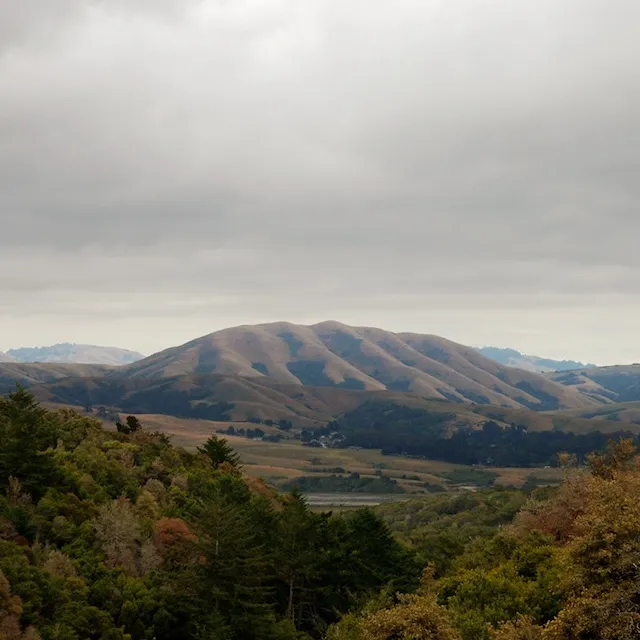 DIRTY PROJECTORS + BJORK / MOUNT WITTENBERG ORCA (EXPANDED EDITION)