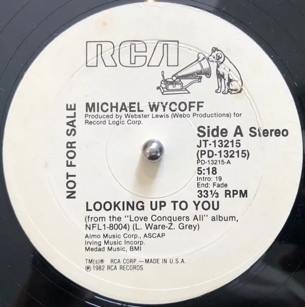 MICHAEL WYCOFF / LOOKING UP TO YOU