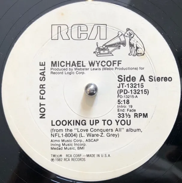 MICHAEL WYCOFF / LOOKING UP TO YOUΥʥ쥳ɥ㥱å ()