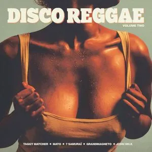 VARIOUS (TAGGY MATCHER, MATO) / DISCO REGGAE VOL.2Υʥ쥳ɥ㥱å ()