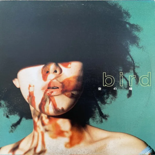BIRD / 空の瞳