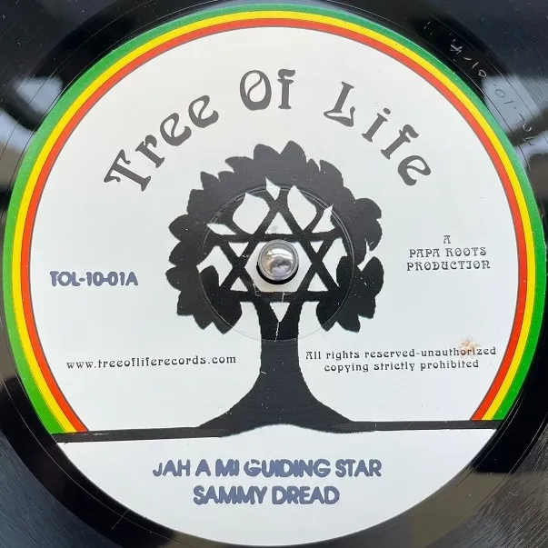 SAMMY DREAD ／ U BROWN / JAH A MI GUIDING STAR ／ FIRE BURN