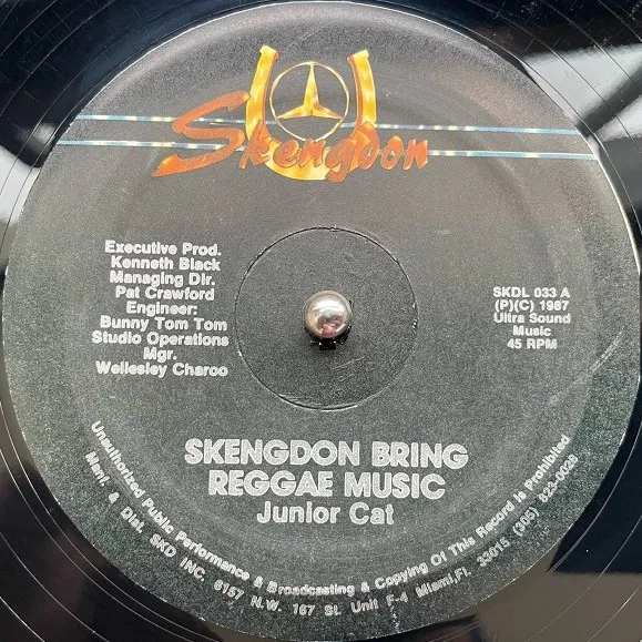 JUNIOR CAT / SKENGDON BRING REGGAE MUSIC ／ POOR PEOPLE ME LOVE