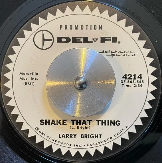 LARRY BRIGHT / SHAKE THAT THING