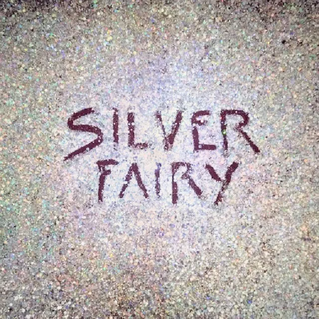 MEGUMI ACORDA / SILVER FAIRYΥʥ쥳ɥ㥱å ()