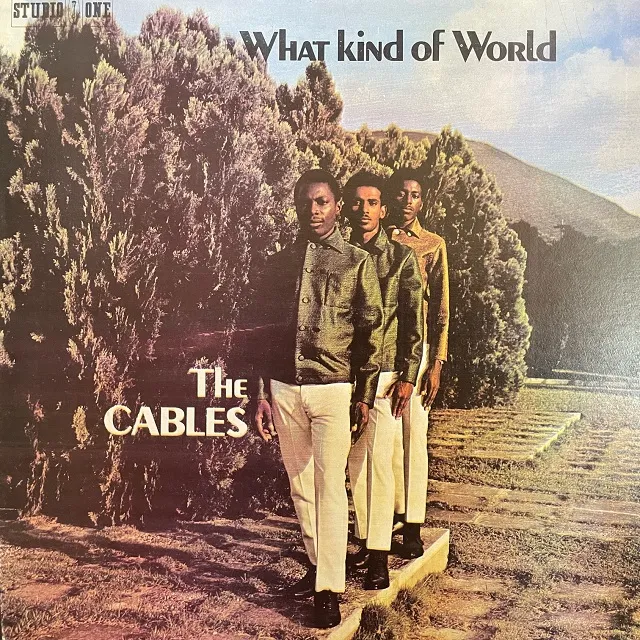 CABLES / WHAT KIND OF WORLD