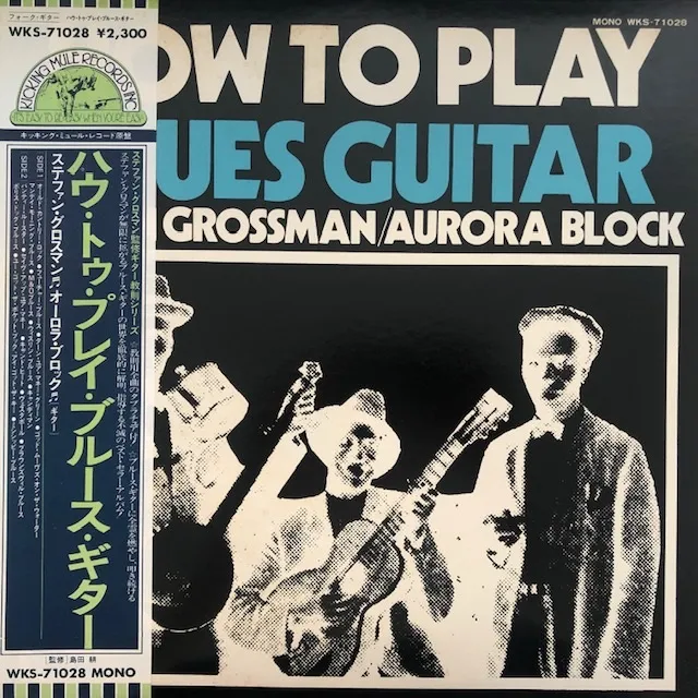 STEFAN GROSSMAN / HOW TO PLAY BLUES GUITAR