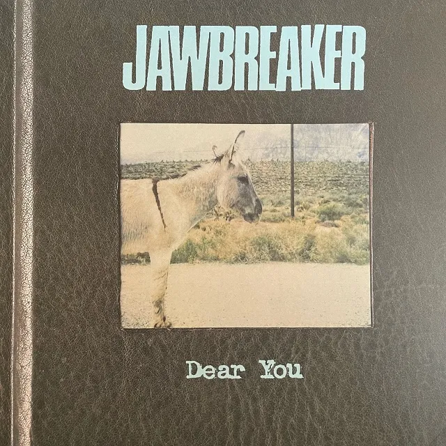 JAWBREAKER / DEAR YOUΥʥ쥳ɥ㥱å ()