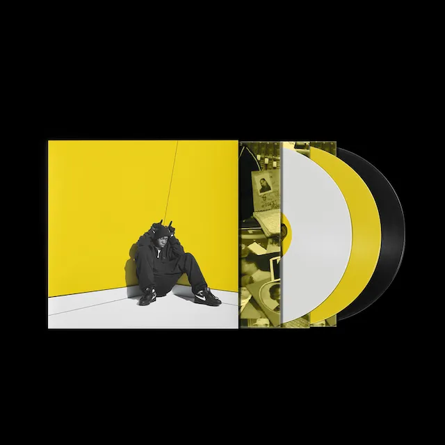 DIZZEE RASCAL / BOY IN DA CORNER (20TH ANNIVERSARY EDITION)Υʥ쥳ɥ㥱å ()