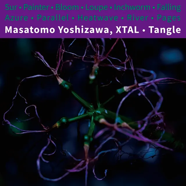 MASATOMO YOSHIZAWA, XTAL / TANGLE