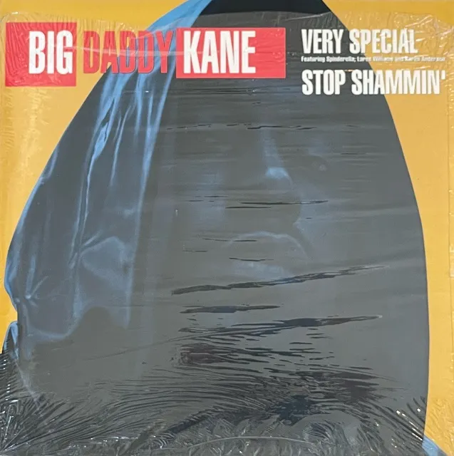 BIG DADDY KANE / VERY SPECIAL  STOP SHAMMIN'Υʥ쥳ɥ㥱å ()