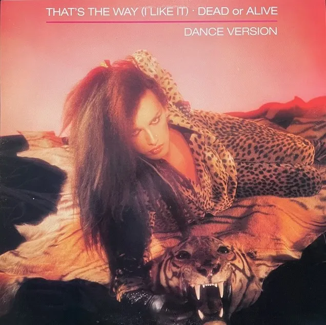 DEAD OR ALIVE / THATS THE WAY (I LIKE IT) (DANCE VERSION)
