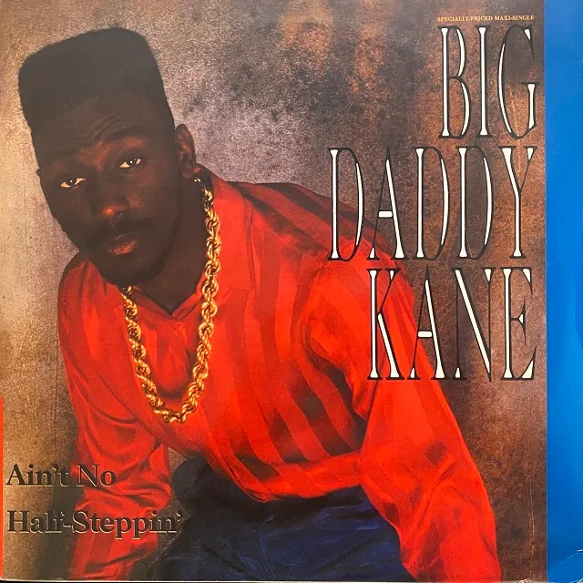 BIG DADDY KANE / AIN'T NO HALF-STEPPIN'