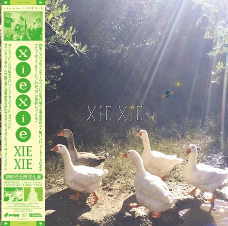 XIEXIE / SAME  33