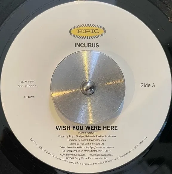 INCUBUS / WISH YOU WERE HERE