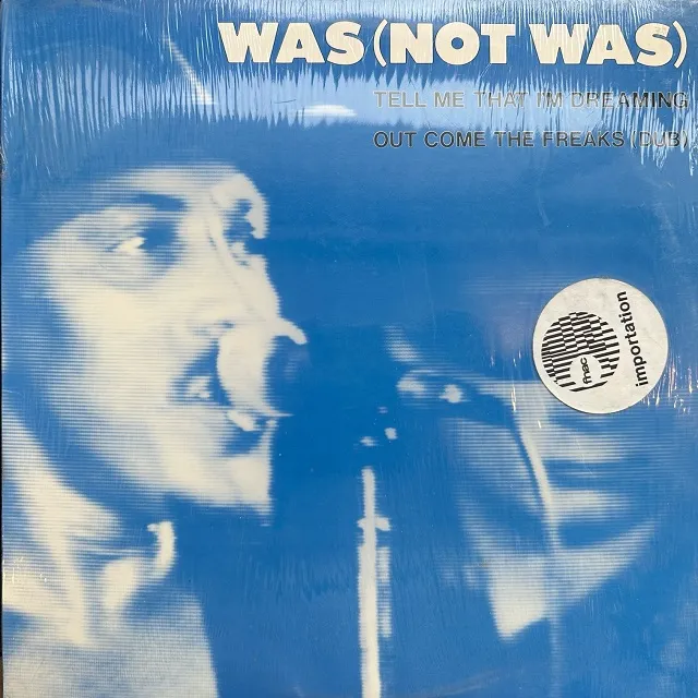 WAS (NOT WAS) / TELL ME THAT I’M DREAMING