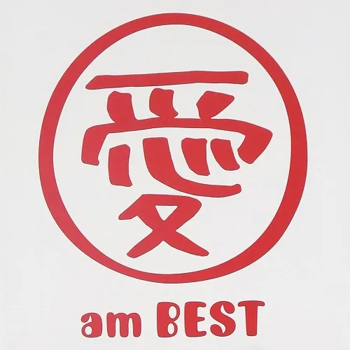 Ͱ /  AM BESTΥʥ쥳ɥ㥱å ()