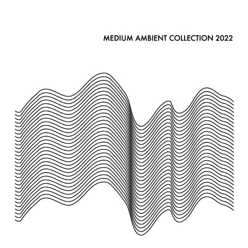 VARIOUS (H.TAKAHASHI) / MEDIUM AMBIENT COLLECTION 2022 WHITE