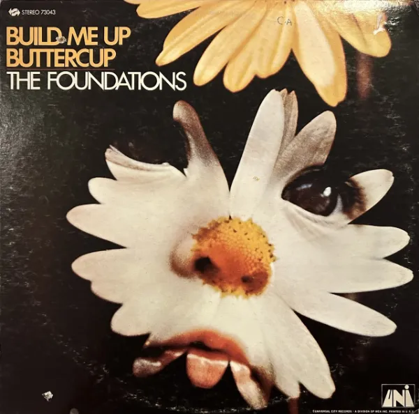 FOUNDATIONS / BUILD ME UP BUTTERCUPΥʥ쥳ɥ㥱å ()