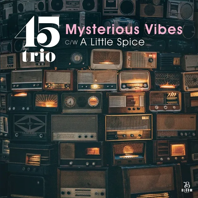 45TRIO / MYSTERIOUS VIBES