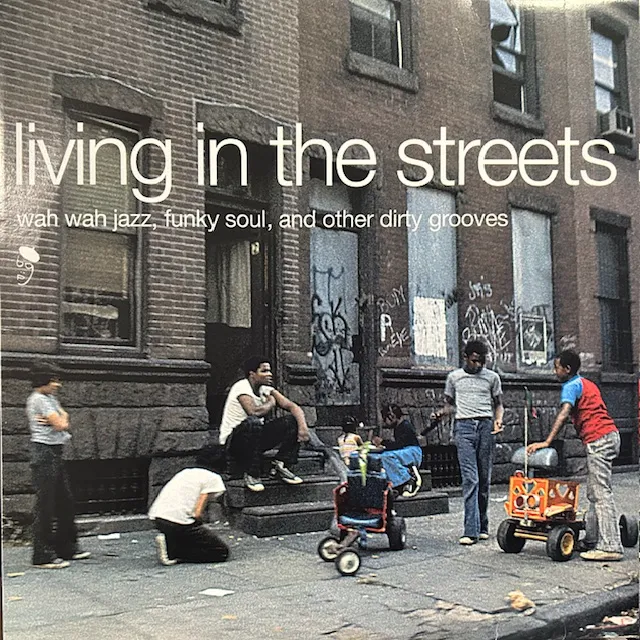 VARIOUS (ISAAC HAYES, HOUSTON PERSON) / LIVING IN THE STREETS