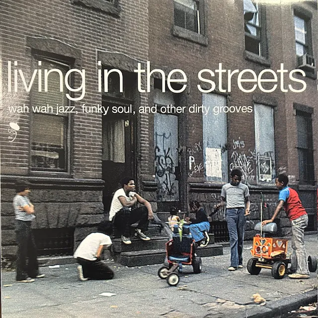 VARIOUS (ISAAC HAYES, HOUSTON PERSON) / LIVING IN THE STREETSΥʥ쥳ɥ㥱å ()