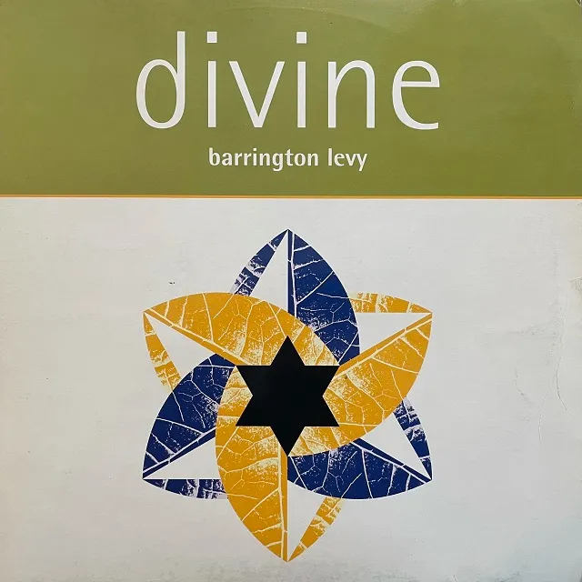 BARRINGTON LEVY / DIVINEΥʥ쥳ɥ㥱å ()