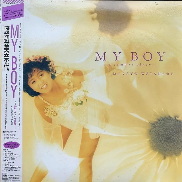 渡辺美奈代 / MY BOY - A SUMMER PLACE -