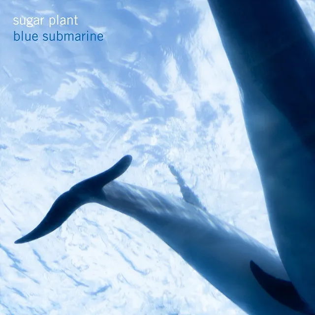 ڥ쥳ͽ SUGAR PLANT / BLUE SUBMARINE