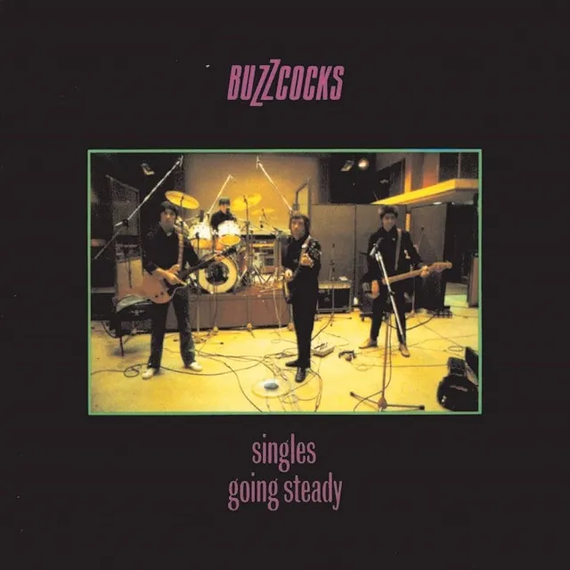 BUZZCOCKS / SINGLES GOING STEADY