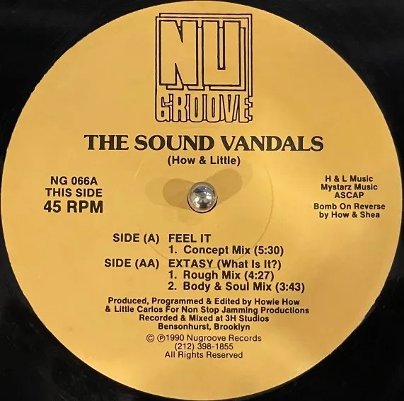 SOUND VANDALS / FEEL IT ／ EXTASY (WHAT IS IT?)
