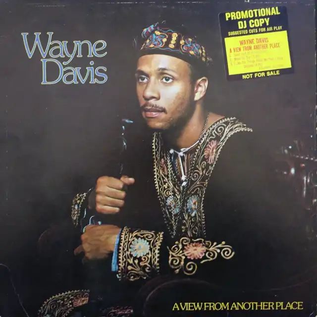WAYNE DAVIS / A VIEW FROM ANOTHER PLACE