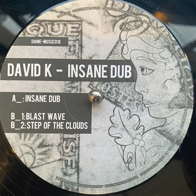 DAVID K / INSANE DUB