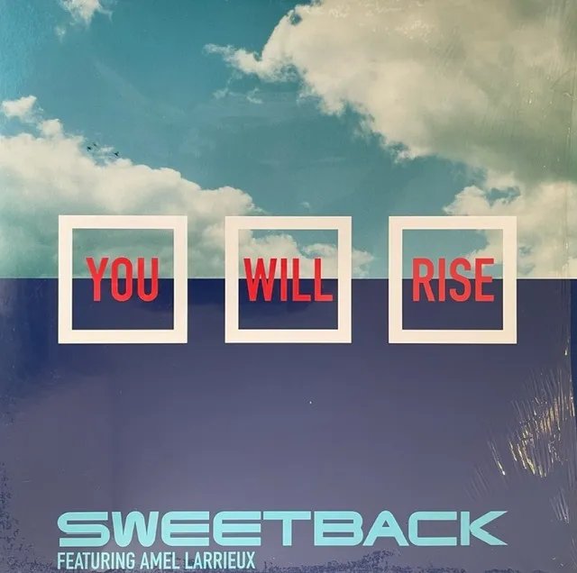 SWEETBACK FEATURING AMEL LARRIEUX / YOU WILL RISEΥʥ쥳ɥ㥱å ()