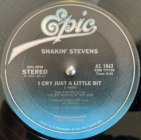SHAKIN' STEVENS / CRY JUST A LITTLE BIT (PROMO)