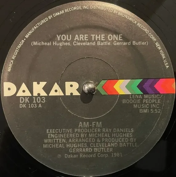 AM-FM / YOU ARE THE ONE