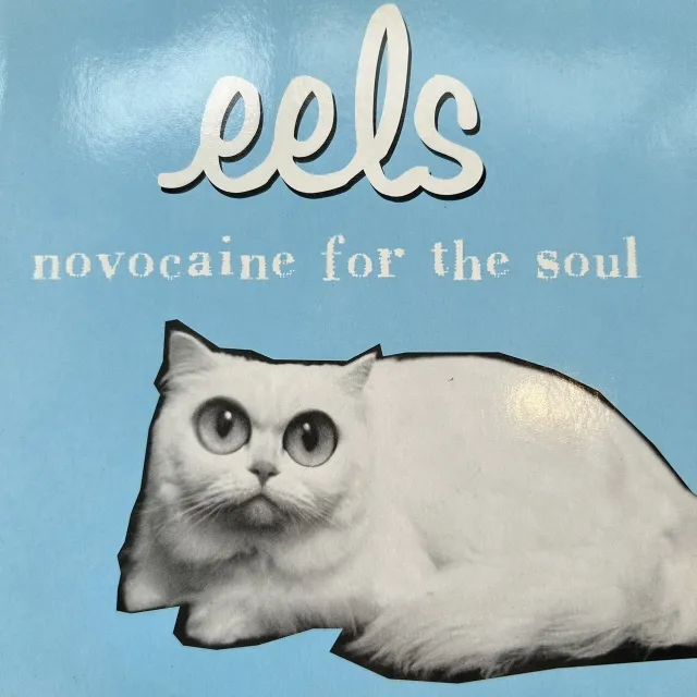 EELS / NOVOCAINE FOR THE SOUL