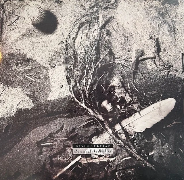 DAVID SYLVIAN / SECRETS OF THE BEEHIVE
